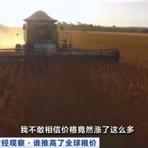 美国、巴西、欧盟3亿吨粮食变燃料！全球人均可支配粮食有多少，数据预测→ ...