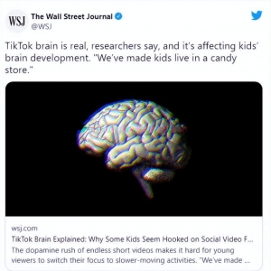媒体称TikTok损害儿童大脑，抖音也有同样的问题