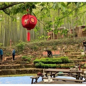 失去游客的黄山和莫干山
