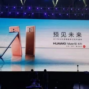 寒武纪两难：活在当下还是未来？