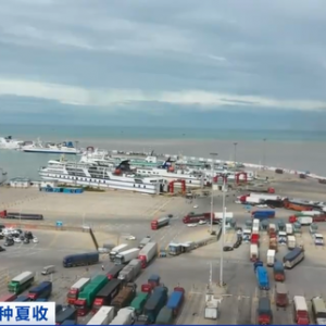 荔枝上市旺季来了！海南琼州海峡开通绿色通道 保障荔枝新鲜出岛 ...