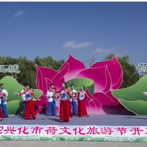 兴化荷文化旅游节开幕！“荷”你有约的兴化上线