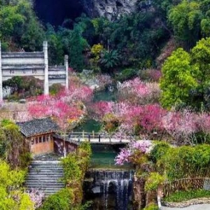 中国武陵文旅峰会将在酉阳举行！高峰论坛、文旅推介、旅游商品联展……促进一体化协同 ...