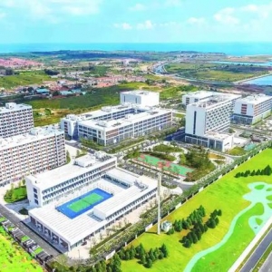 烟台黄渤海新区：让人才站稳“C位”