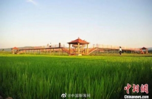 2022上半年国内旅游总人次14.55亿