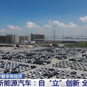 字解半年经济 | 新能源汽车实现自“立”创新 走向全球屹“立” ...