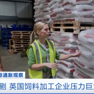 通胀加剧，英国饲料加工企业压力巨大！鸡肉价格已上涨25%