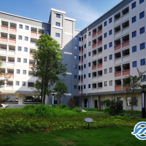 创新！泉州：省首家民企拍卖住宅用地建保障房向全国推广