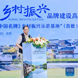 刘坚：乡村振兴要高度重视文化与品牌建设