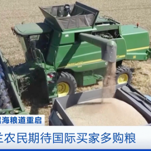 谷物没有销路，售价降至三分之一！乌克兰农民期待国际买家多购粮 ...