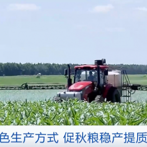 支持耕地轮作休耕，中央财政安排110多亿元！推广绿色生产方式，促秋粮稳产提质→ ...