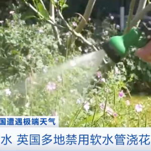 禁用软水管浇花、洗车！英国部分地区旱情严重，出台“软水管禁令” ...