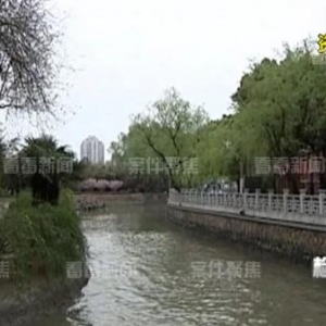 “催乳师”日薪过千，上海温柔爷叔成提款机，4年倒贴50余万 ...