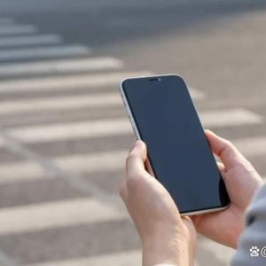 派回归，胜算几何？
