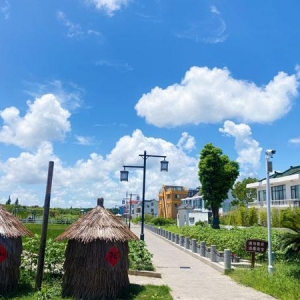 “整个8月周末民宿爆满！”上海金山抢占“微旅游”新赛道