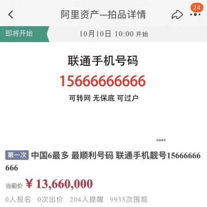 “中国6最多”手机号上线拍卖，起拍价1366万元！剩余话费余额38万…… ...