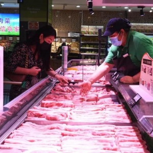 近期投放储备猪肉传递什么信号？四季度肉价会大幅波动吗？ ...