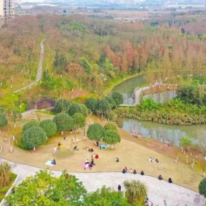 重庆两江新区：生活在“公园”里就是这么巴适