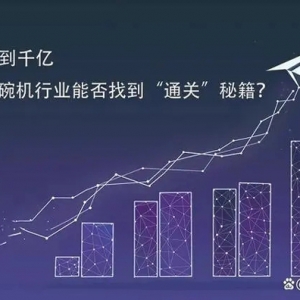 从百亿到千亿 中国洗碗机行业能否找到“通关”秘籍？