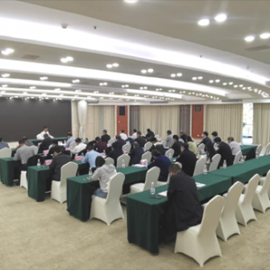 两江新区召开“安全大检查，百日大整治”专项行动工作会议 ...