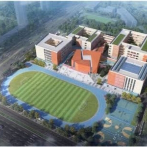 江北新区新建学校工程招投标交易工作高效进行