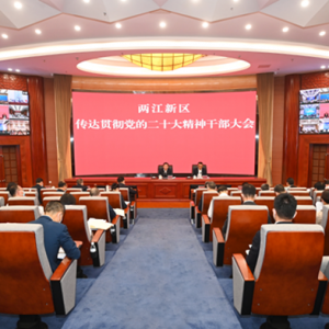 两江新区：以学习贯彻党的二十大精神为强大动力 奋力书写推动高质量发展创造高品质生 ...