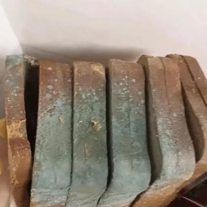 校长带发霉面包看望摔成脑溢血学生？学校回应：经鉴定在保质期内 ...
