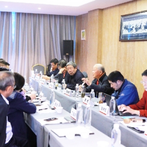 专家研讨历史文化名城保护与利用