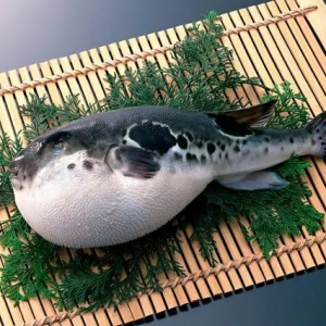 中国烹饪协会年内再发《传统河鲀烹饪技术规范》等三项团体标准 ...