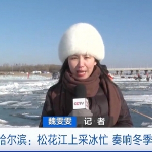最美飘雪时！哈尔滨国际冰雪节即将启幕，用冰量将近15万立方米 ...