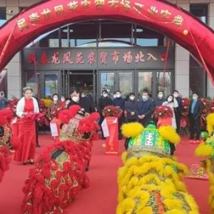 淄博新区迎来高颜值菜市场 民泰龙凤苑农贸市场盛大开业