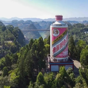 茅台耗资155亿扩产，一年新增近4000万瓶，平价茅台还有多远？ ...