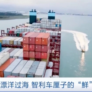 智利车厘子抢“鲜”到上海！记者揭秘：一颗车厘子的旅程