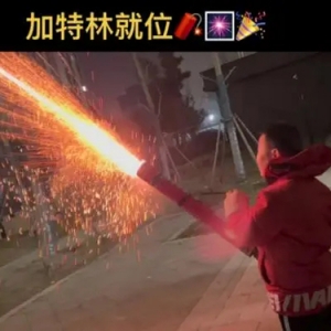 一支难求！春节爆款加特林，从20元卖到200元还断货，有商店要求消费满1000元才能买 ...