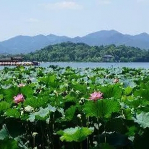 春节假期旅游市场强势复苏，四川接待游客最多，云南旅游收入暂居榜首 ...