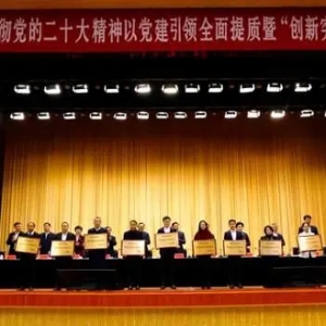 打造新引擎 领跑新经济——10家新经济企业荣获西海岸新区工委、管委表彰 ...