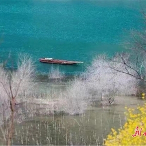 暖心，甘肃诚邀全国医护人员免费游陇原