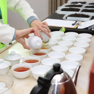 “最懂茶的人”诞生记：辨、沏、闻、品、观，五官齐上“硬核”评茶 ...