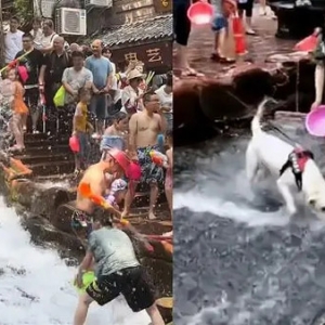 泼水节连狗路过都得淋两桶水再走，狗狗都难逃“洗礼”