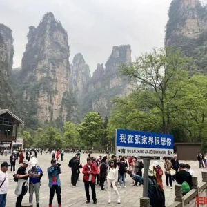 超5万人停止售票！4月23日起，张家界国家森林公园实行分时分站预约购票入园 ...
