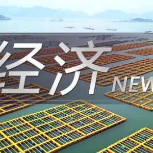 若羽臣2022年营收12.17亿元，扣非净利同比增长64.73%