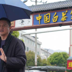 失意商人李亚鹏：投资地产屡败屡战，直播卖茶能否清空债务？ ...