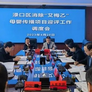 渌口区召开消除艾滋病、梅毒和乙肝母婴传播国家评估迎评工作调度会 ...