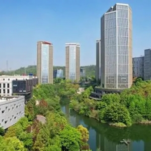 打造一站式人才服务平台 重庆数字经济人才市场两江新区市场挂牌成立