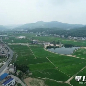 全省耕地保护十大创新案例出炉，湖南湘江新区入选
