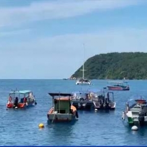 气候变化影响广泛！马来西亚棕榈油预计明年至少减产100万吨