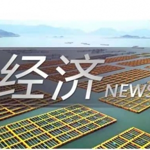 淘宝修改销量显示规则，实现用户、商家、平台三赢