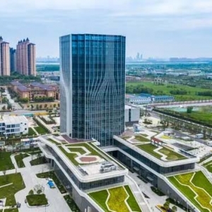 每月新增企业超1000家，新区靠什么引凤来？