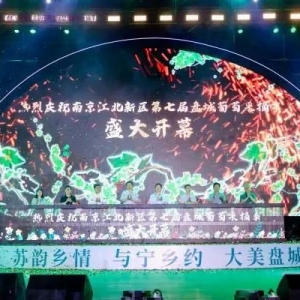 助推农文旅融合！南京江北新区邀你共赴“葡萄文化盛宴”