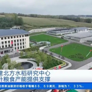 为粮食产能提供支撑！首个国家级北方水稻重大科研平台落户黑龙江